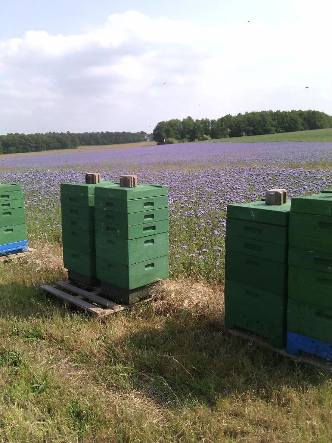 Kalmar 8 Villa Kagsdorf ภายนอก รูปภาพ
