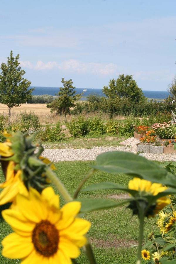 Kalmar 8 Villa Kagsdorf ภายนอก รูปภาพ